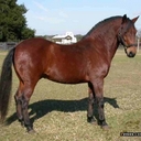 bryan negron - @guito360 - Twitter