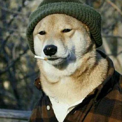 vulpiculae's profile picture. Physics!