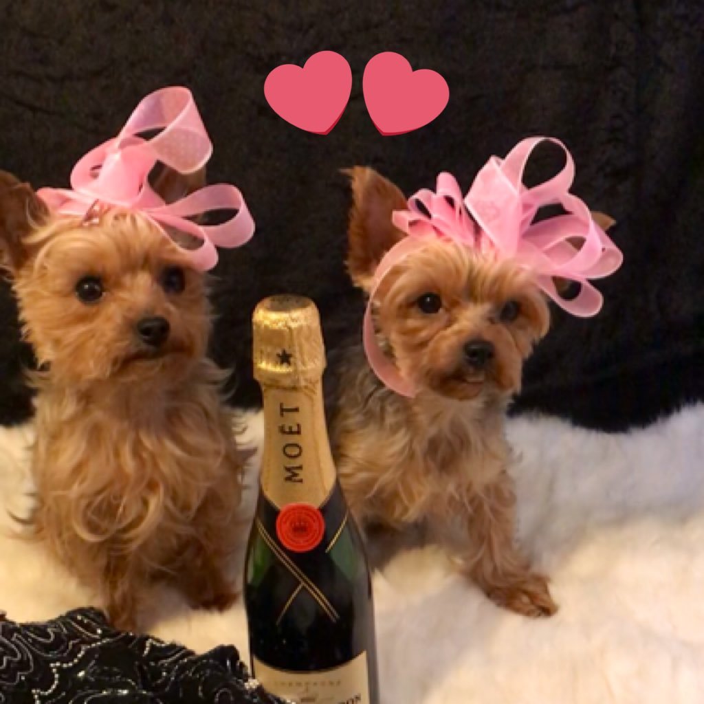 We’re having the best  time of our life’s and like to share it with you❤️❤️❤️ You can also find us on Instagram @yorkisisters