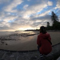 shihoo (@shihonzaus1) 's Twitter Profile