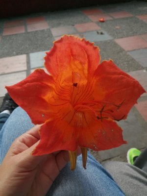 Sara67816045's profile picture. Hola