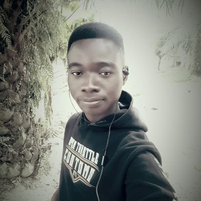 yankeyfrancis79's profile picture. I love everything