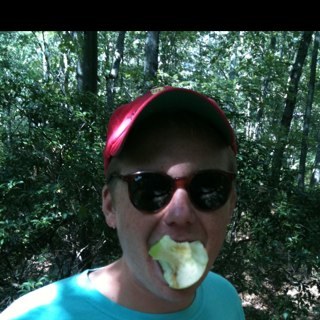 NSGollner's profile picture. 