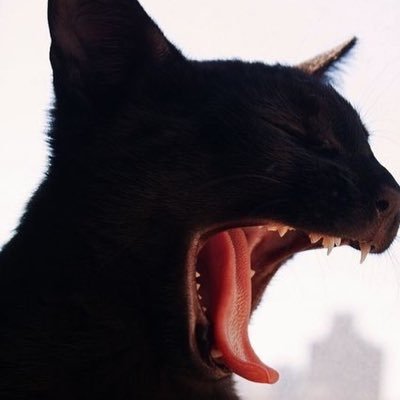 bzzgamer's profile picture. /123422