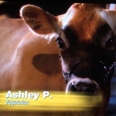 BachDet's profile picture. I’m here for the right reasons: to watch #TheBachelor/#TheBachelorette + #TheGoldenBachelor + tweet about them.