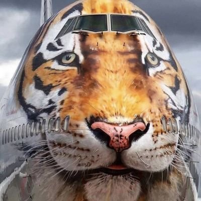 cryptofan78's profile picture. 