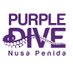 Purple Dive Penida (@DivePenida) Twitter profile photo