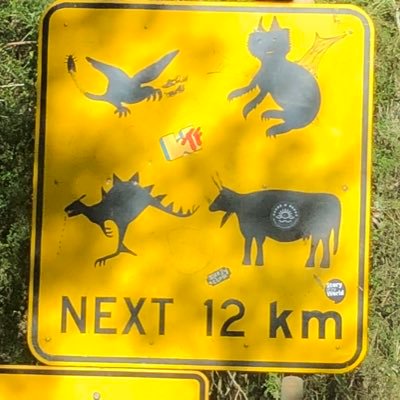 sdcacpa's profile picture. Minnesota sports fan. I spend too much time on fantasy sports. DraftKings: nolt0032.