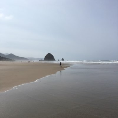 ReisSrreis's profile picture. 