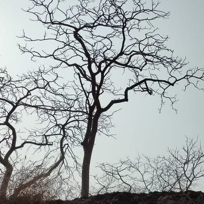 enoughhashtag's profile picture. #Calm #Agnostic #NPC