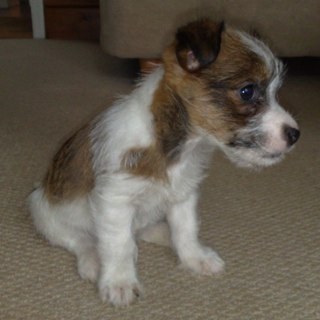 johnboyjfm_john's profile picture. 