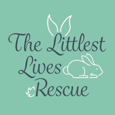 We are a small self-funded rabbit rescue that is dedicated to helping bunnies in need 🐰❤🐰 FB & IG: TheLittlestLivesRescue #lovelittlelives #adoptdontshop