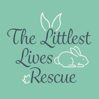 The Littlest Lives Rescue(@LittlestLives) 's Twitter Profile Photo