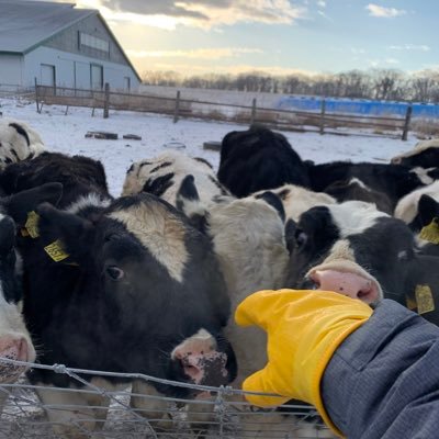 _momokiai4649's profile picture. よろしくお願いします！土好き！草好き！極めたい！