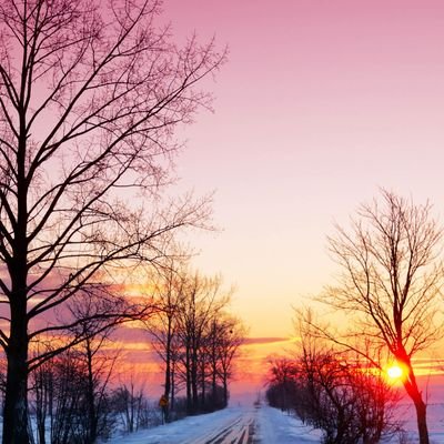 galmenashofri's profile picture. No one, deliberately.