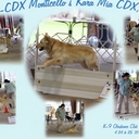 Jane Collar - @JaneCollar - Twitter