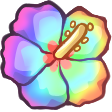 Hibiscus_Flower