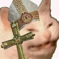 BorealGM (@borealgm) 's Twitter Profile
