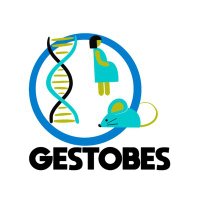 @GESTOBES(@gestobes) 's Twitter Profile Photo