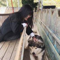 Vanh dùng X để đu idol 🥹 (@meisvanh) 's Twitter Profile