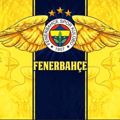 AlihsanKln2's profile picture. FENERBAHÇE💛💙