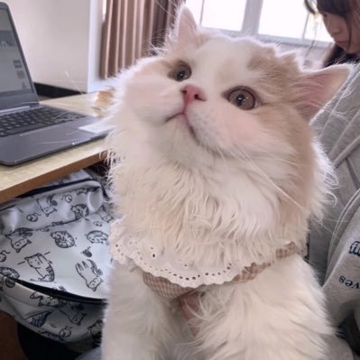 Judy_112311's profile picture. 