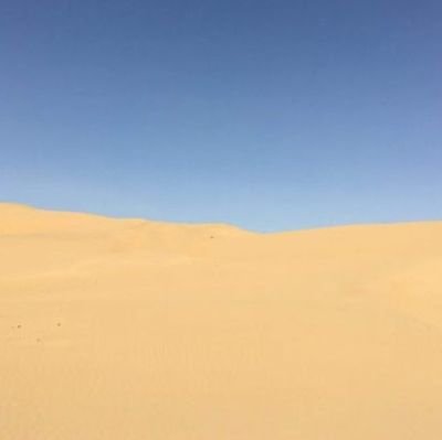 dlssdb's profile picture. ,