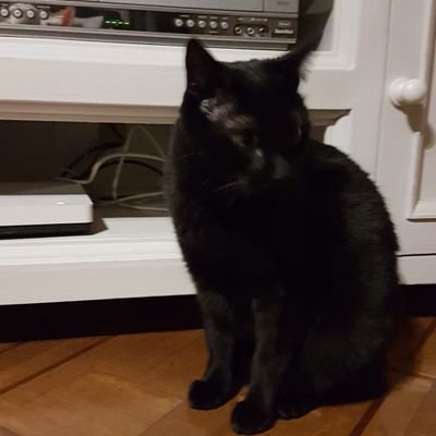 anne_reymond's profile picture. #SUISSE #NonUE #SOUVERAINETÉ #STOP5G  #NonVaccinObligatoire #NonMasqueObligatoire #NonTracageCovid  #StopMediasMenteurs #StopPedocriminalite #LiberteDesPeuples