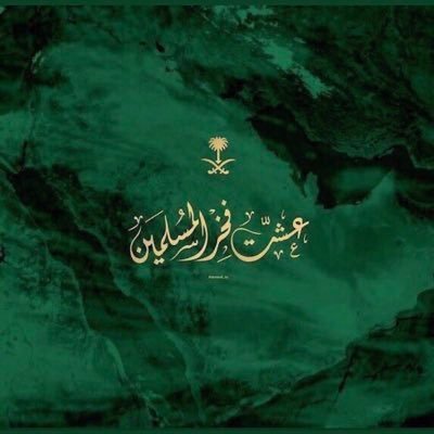 Rwn_Nasser's profile picture.