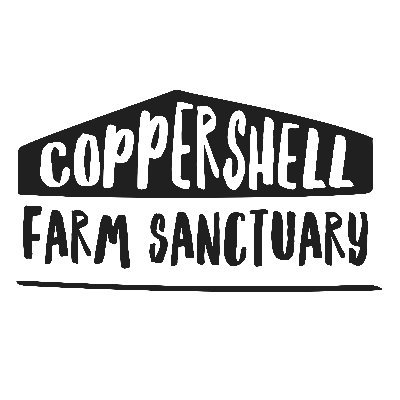 Coppershellfarm's profile picture. A UK based registered charity that provide shelter, care and attention for abandoned, neglected or unwanted animals.