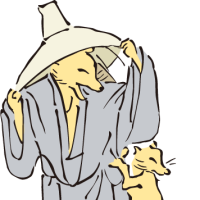 y_kurushima's profile picture. 自由気ままなプログラマー