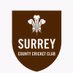Surrey Cricket Academy (@SurreyCAG) Twitter profile photo