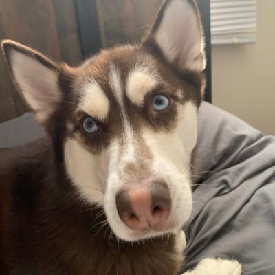 marie_falls13's profile picture. 