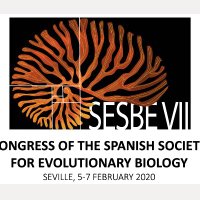 sesbe2020 (@sesbe2020) 's Twitter Profile