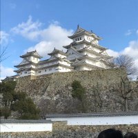猿吉 (@monkey_kichi_23) Twitter profile photo