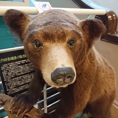 くまこ❤お作り 🐻クマラ親子 ハッピーセット🧸 《墓場のクリアーソフビコレクション
