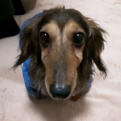 楽しい・美味しい・新しい経験が好き!
→最近は関わる人に恵まれて幸せ←
◆Twitterは会っても恥ずかしくない対応を心がけています!
◆株は勉強中
チャレンジ!amazonアソシエイトに参加し収入を得ています(審査受かるまでしばらくやってみる)