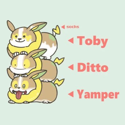 ポケモンエンジョイ交換垢 交換希望 出 色控えめピカチュウ 色ナゾノクサ 色臆病シェルダー 色コイキング 色コダック 求 色イーブイ 色ドガース 性格は不問です 宜しくお願い致します ピカブイ ピカブイ交換 ピカブイ色違い ポケモン交換