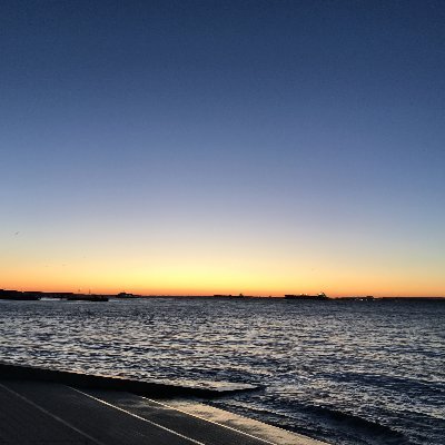 cjolas's profile picture. Digital accessibility consultant. Certified CSM CSPO and Web Quality.