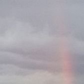 wrxstibeauty's profile picture. 戦争反対/女性差別反対/ジェンダー不要/性犯罪を許さない/SEXisReal/YesmeansYes,NomeansNo