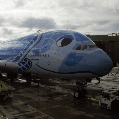 kokuzuki_main's profile picture. Blue Sky https://t.co/O6ZrXUm57R  Amazon欲しい物リスト↓