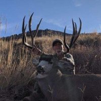 Tayson Davis (@davistayson) 's Twitter Profile