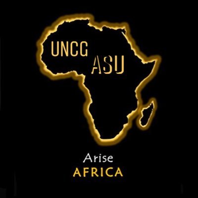 We are a Vibrant & Strong organization dedicated to promoting awareness of African culture. Since 2002