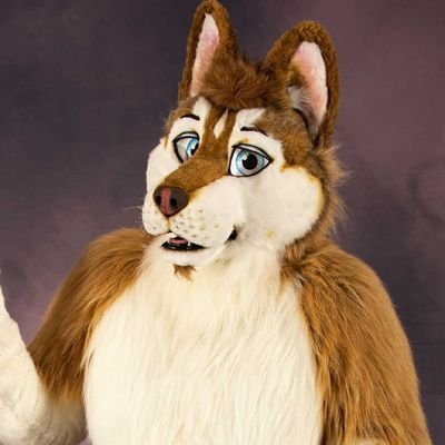 Fellow Furry, Michigander, Classic GM Autos, Holiday Stuff, Kitschy collector, Food & Gen X'er. Mostly On BSKY.