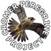 Cromer Peregrine Project (@CromerPeregrine) Twitter profile photo