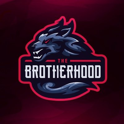 UP AND COMING XBOX CLAN! IF INTERESTED DM.