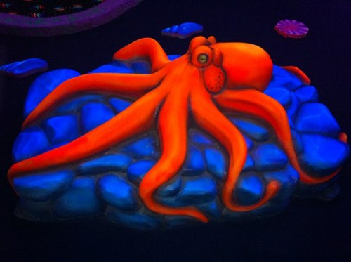 JonMac06's profile picture. 49ers, sf giants and san jose sharks.