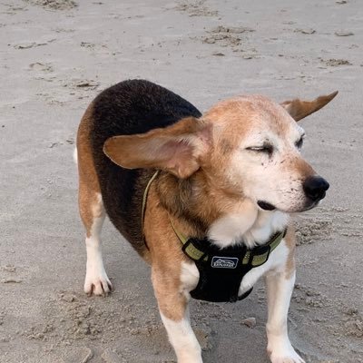 mwagner72's profile picture. 