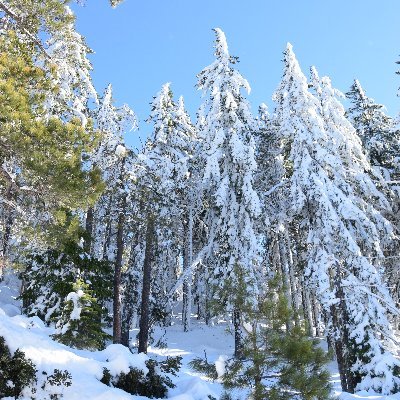 Follow the Way, Entrepreneur, Husband, Father, Papa, Trader, Outdoorsman