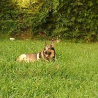 Pablo Marconi (@pablomarconiusa) 's Twitter Profile